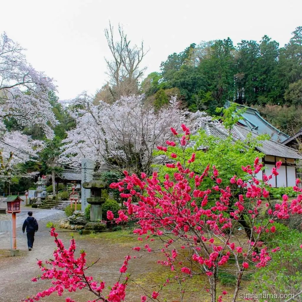 🏯 이와도노산 쇼보지(간덴잔 쇼호지) 이미지 7